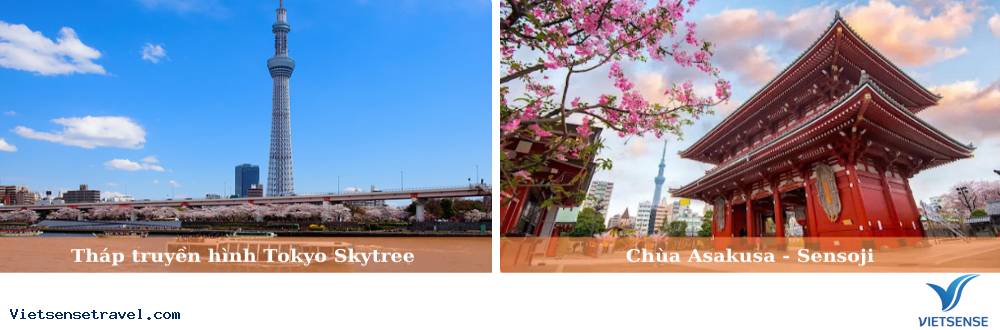 Rời Fuji khởi hành đi Tokyo -  Narita                       - Ảnh 1